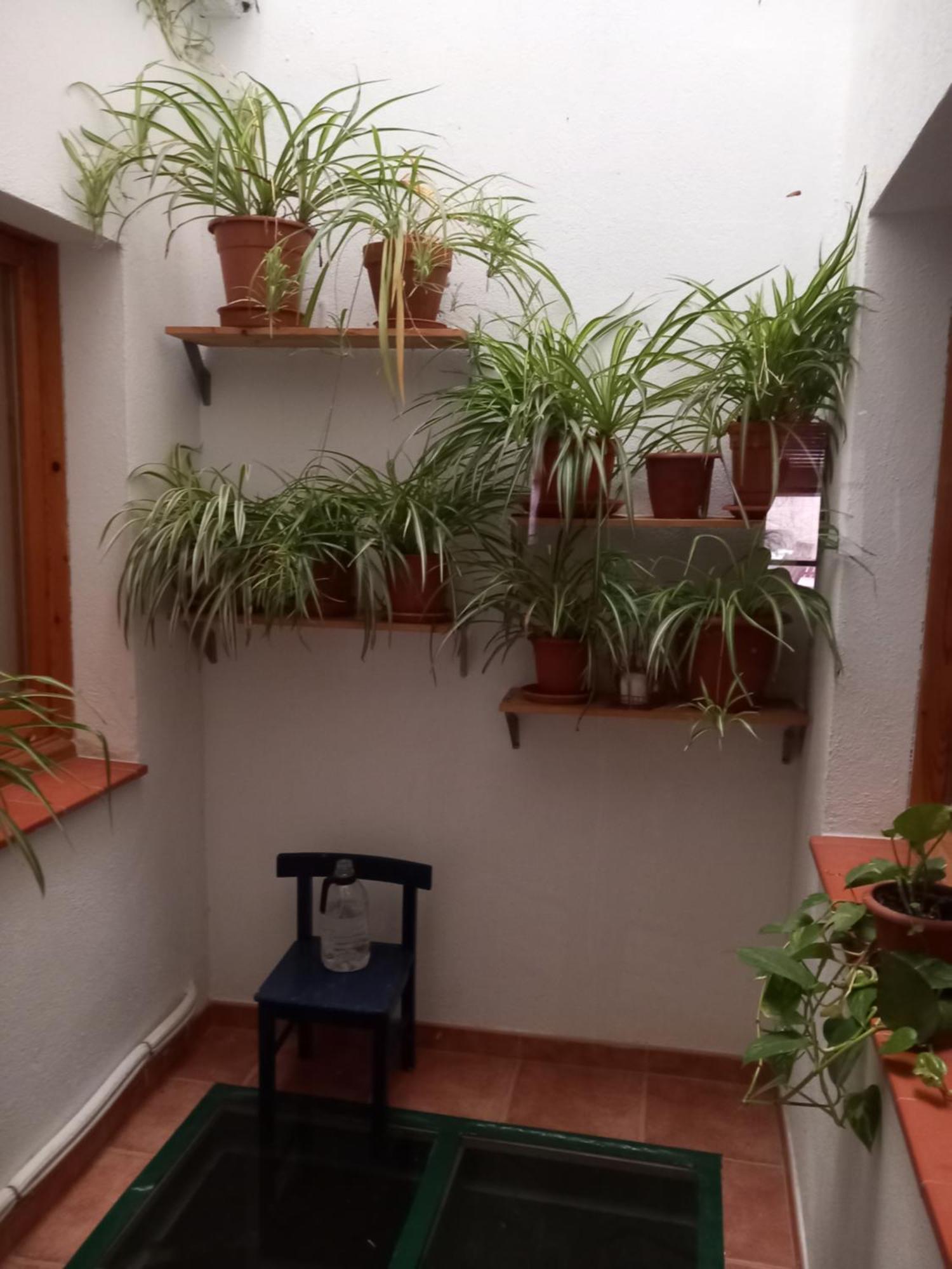 Gasthaus Cal Manyo Puigvert de Lérida Exterior foto
